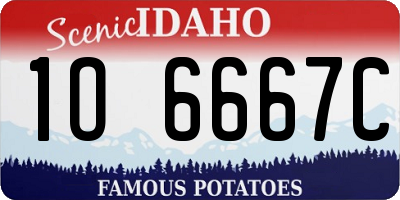 ID license plate 1O6667C