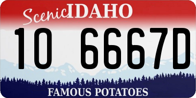 ID license plate 1O6667D