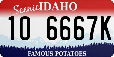 ID license plate 1O6667K