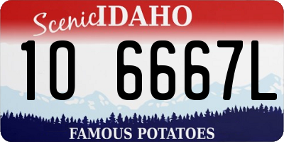ID license plate 1O6667L