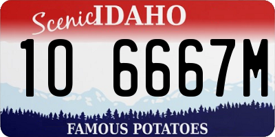 ID license plate 1O6667M
