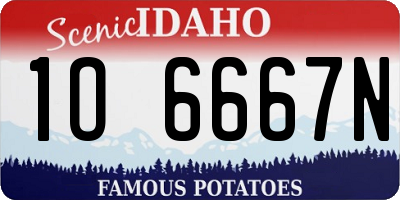 ID license plate 1O6667N