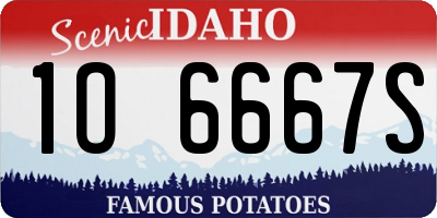 ID license plate 1O6667S