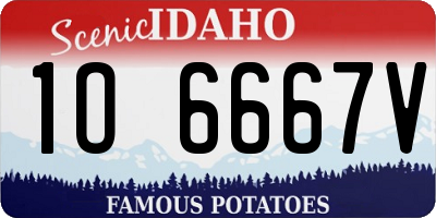 ID license plate 1O6667V
