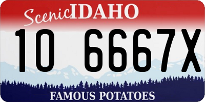 ID license plate 1O6667X