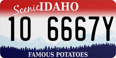ID license plate 1O6667Y