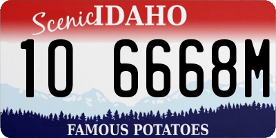 ID license plate 1O6668M