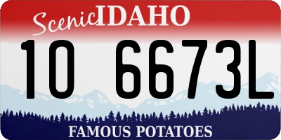 ID license plate 1O6673L