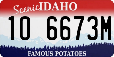 ID license plate 1O6673M
