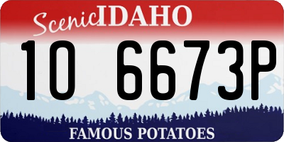 ID license plate 1O6673P