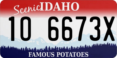 ID license plate 1O6673X