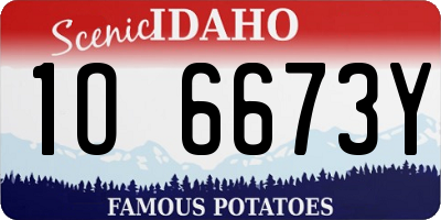 ID license plate 1O6673Y