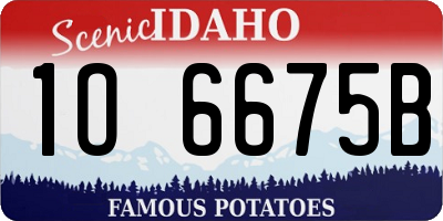 ID license plate 1O6675B