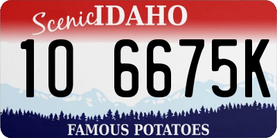 ID license plate 1O6675K