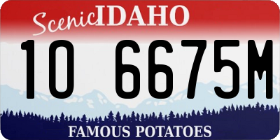 ID license plate 1O6675M