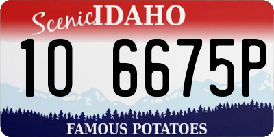 ID license plate 1O6675P