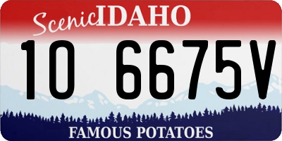 ID license plate 1O6675V