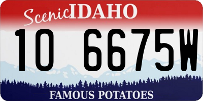 ID license plate 1O6675W