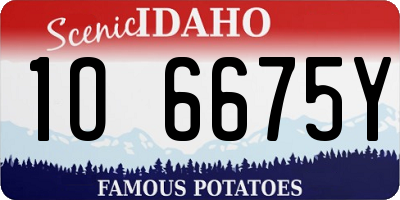 ID license plate 1O6675Y