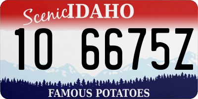 ID license plate 1O6675Z