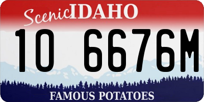 ID license plate 1O6676M