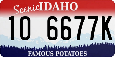 ID license plate 1O6677K
