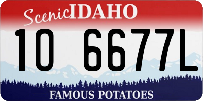 ID license plate 1O6677L