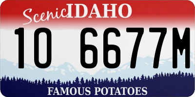 ID license plate 1O6677M
