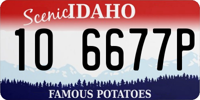 ID license plate 1O6677P