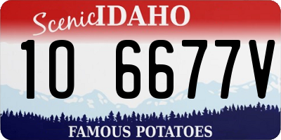 ID license plate 1O6677V