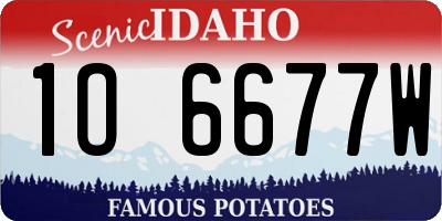 ID license plate 1O6677W