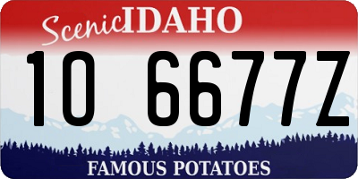 ID license plate 1O6677Z