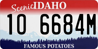 ID license plate 1O6684M