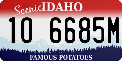 ID license plate 1O6685M