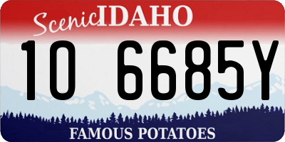ID license plate 1O6685Y