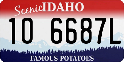 ID license plate 1O6687L