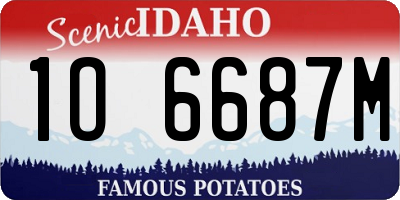 ID license plate 1O6687M