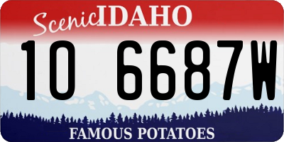 ID license plate 1O6687W