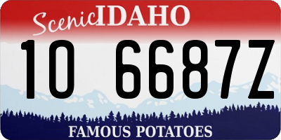 ID license plate 1O6687Z
