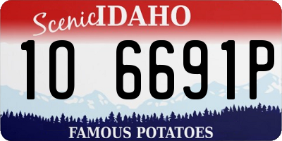 ID license plate 1O6691P