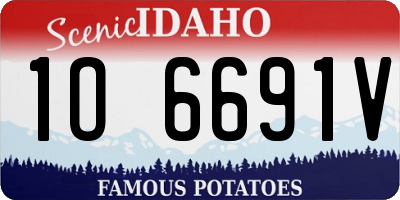 ID license plate 1O6691V