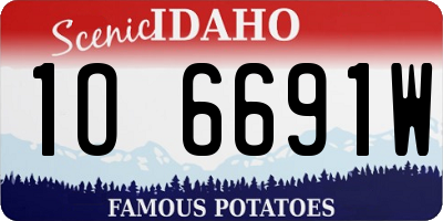 ID license plate 1O6691W