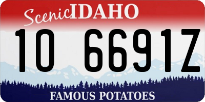 ID license plate 1O6691Z