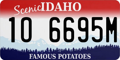 ID license plate 1O6695M