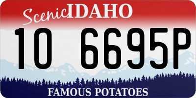 ID license plate 1O6695P