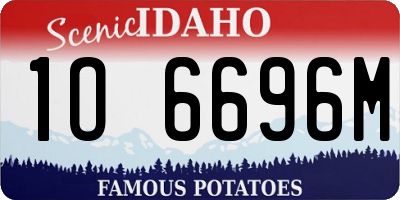 ID license plate 1O6696M