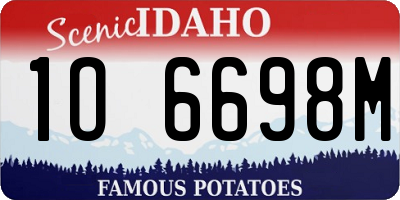 ID license plate 1O6698M