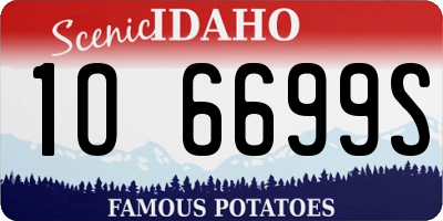 ID license plate 1O6699S