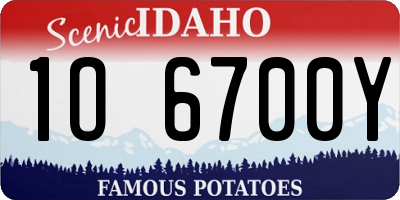 ID license plate 1O6700Y