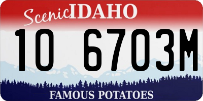 ID license plate 1O6703M
